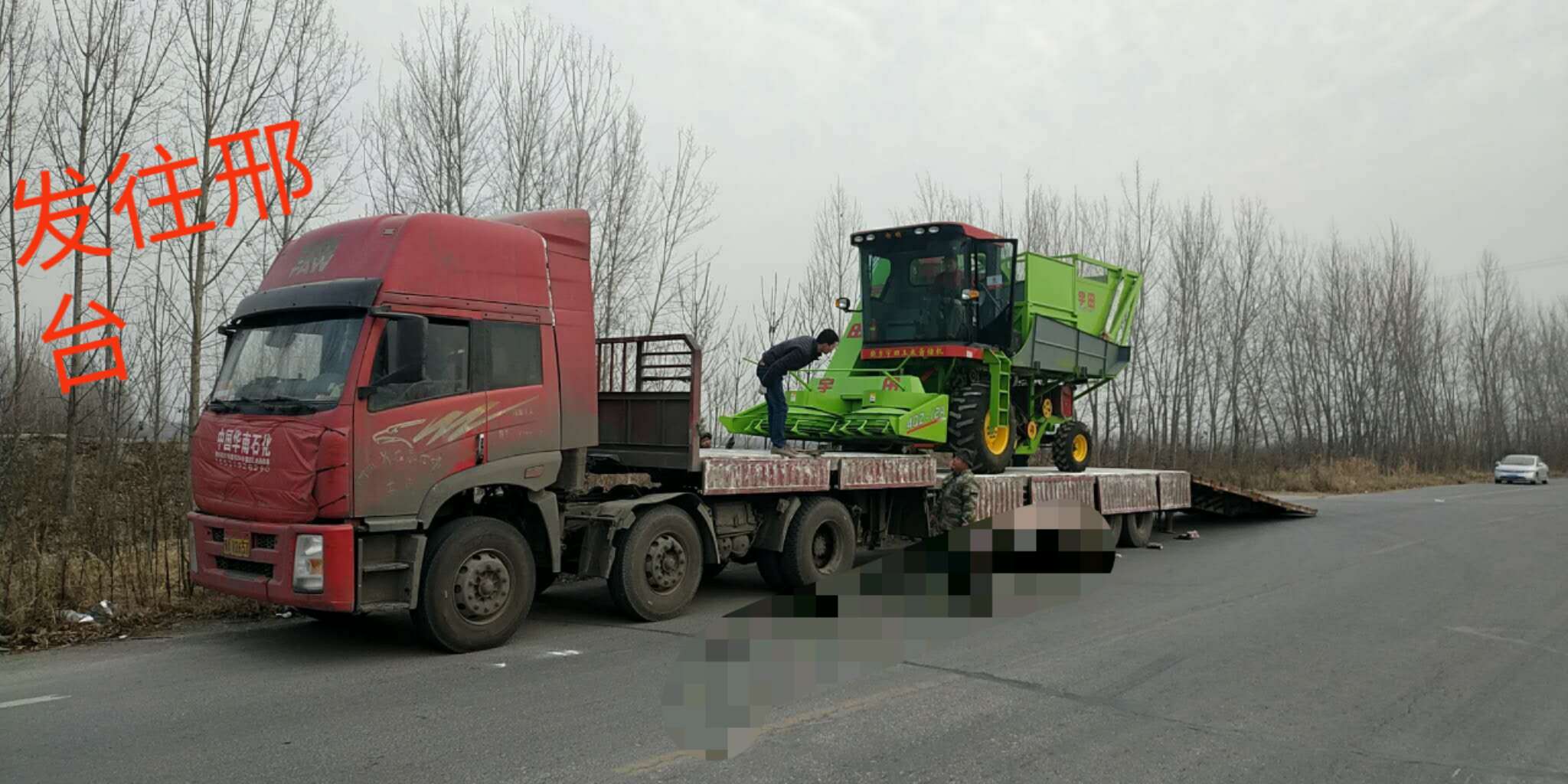 微信图片_201812300950521